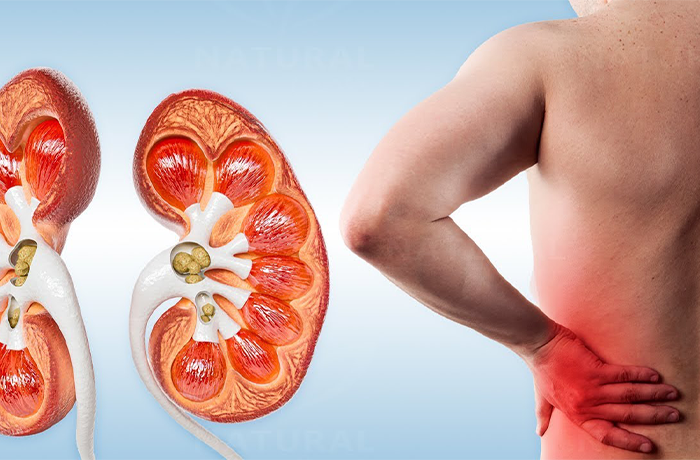 Homeopathy Doctors in Pammal