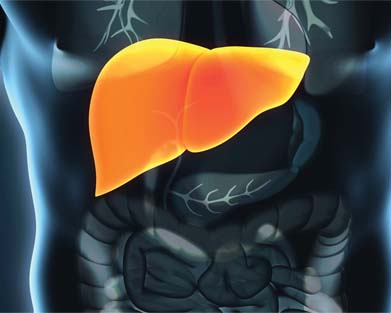 Chronic kidney disease homeopathy in Pammal