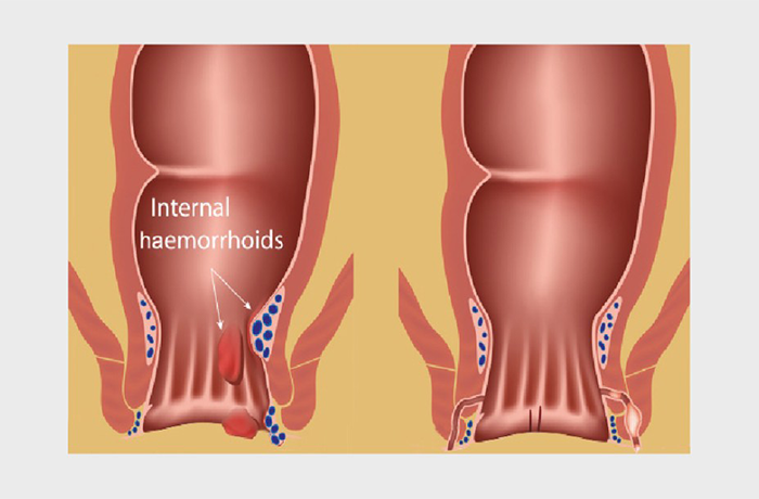 Best Homeopathic Clinics in Pammal