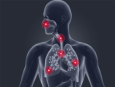 Chronic kidney disease homeopathy in Pammal