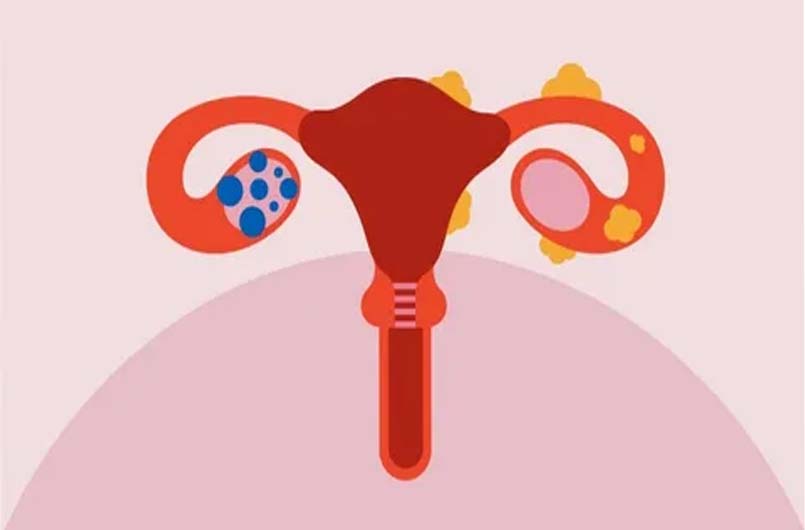 Homeopathy Doctors in Pammal